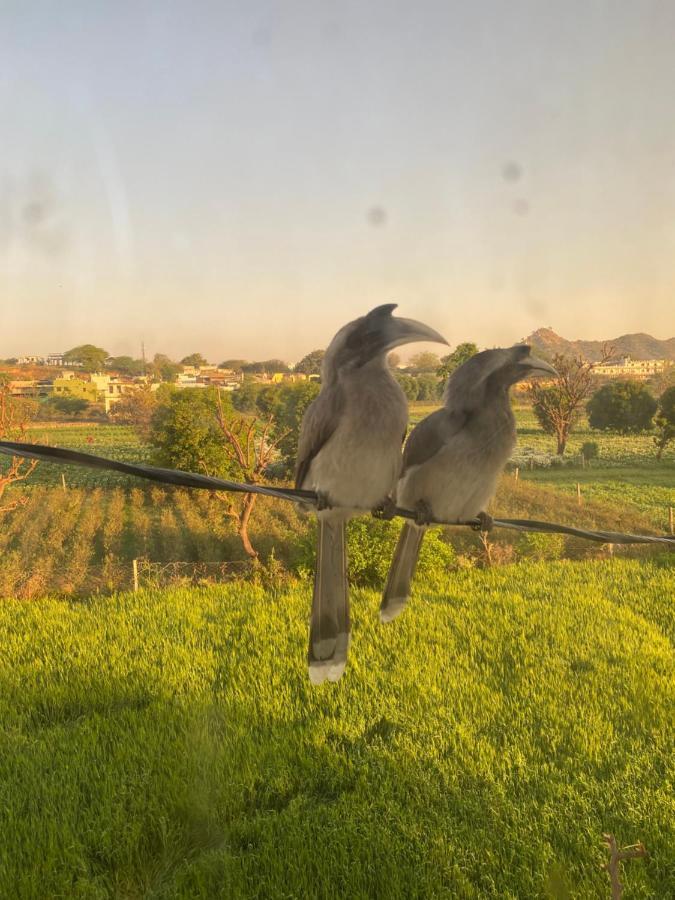 The Natural View פושקאר מראה חיצוני תמונה